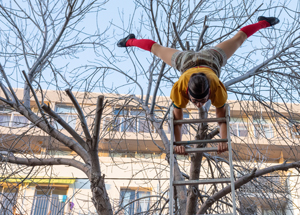 The Nerds circus act
